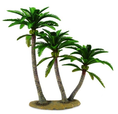 COLLECTA DRZEWO PALMOWE COLLECTA DRZEWO PALMOWE
