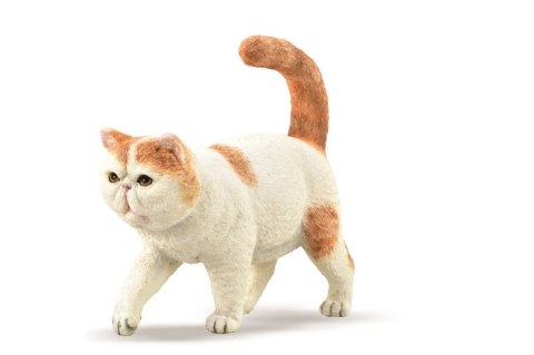 COLLECTA EGZOTYCZNY KOT KRÓTKOWŁOSY COLLECTA EGZOTYCZNY KOT KRÓTKOWŁOSY