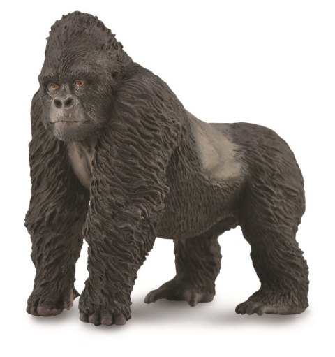 COLLECTA GORYL GÓRSKI COLLECTA GORYL GÓRSKI