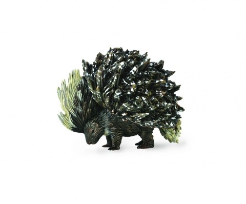 COLLECTA JEŻOZWIERZ INDYJSKI COLLECTA JEŻOZWIERZ INDYJSKI
