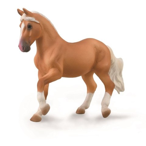 COLLECTA KLACZ PASO FINO PALOMINO COLLECTA KLACZ PASO FINO PALOMINO