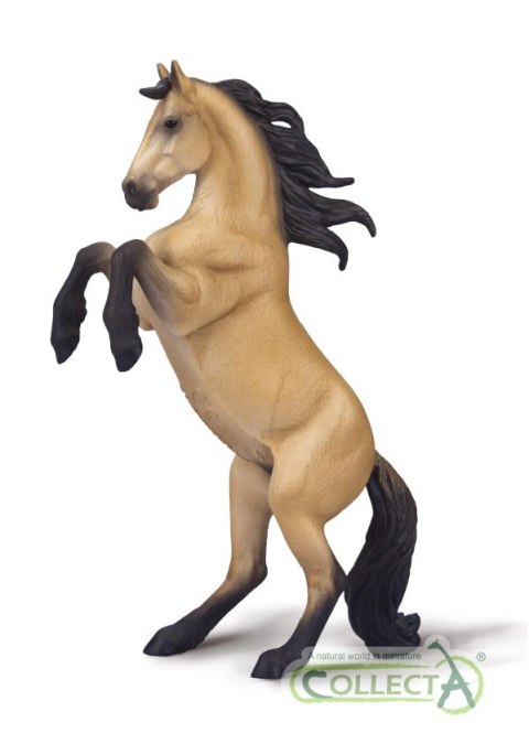 COLLECTA KLACZ WARLANDER MAŚCI BUCKSKIN COLLECTA KLACZ WARLANDER MAŚCI BUCKSKIN