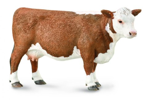 COLLECTA KROWA HEREFORD COLLECTA KROWA HEREFORD