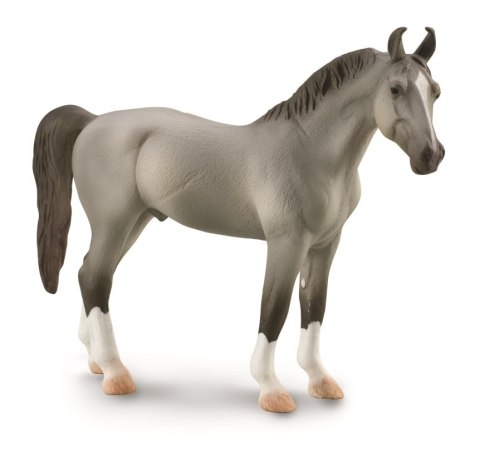 COLLECTA MARWARI STALLION GREY COLLECTA MARWARI STALLION GREY