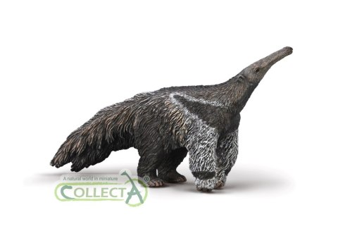 COLLECTA MRÓWKOJAD WIELKI COLLECTA MRÓWKOJAD WIELKI