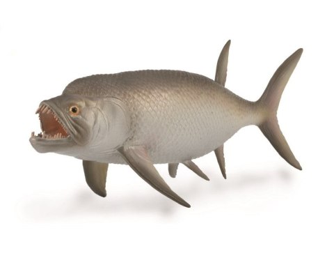 COLLECTA WYMARŁA RYBA XIPHACTINUS COLLECTA WYMARŁA RYBA XIPHACTINUS