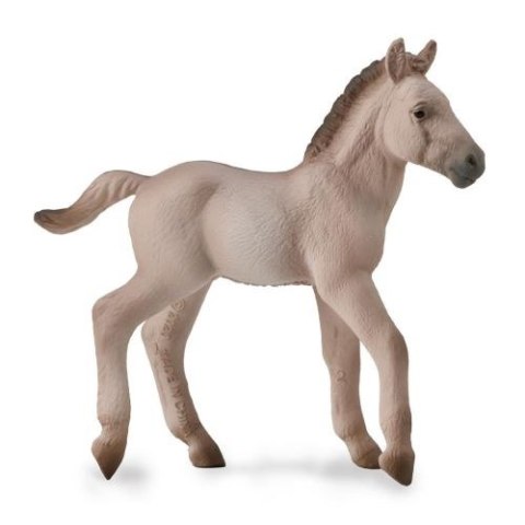 COLLECTA ŹREBIĘ BLUE DUN COLLECTA ŹREBIĘ BLUE DUN