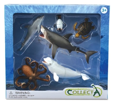 COLLECTA ZWIERZĘTA MORSKIE 6 SZTUK WINDOWBOX COLLECTA ZWIERZĘTA MORSKIE 6 SZTUK WINDOWBOX