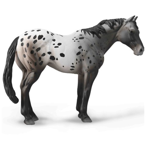 COLLECTA NIEBIESKI DERESZ APPALOOSA COLLECTA NIEBIESKI DERESZ APPALOOSA