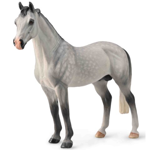COLLECTA OGIER HANOWERSKI MAŚCI CZARNOSZAREJ COLLECTA OGIER HANOWERSKI MAŚCI CZARNOSZAREJ