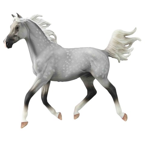 COLLECTA PÓŁARABSKI OGIER MAŚCI SZAROCZARNEJ SKALA 1:12 (DELUXE) COLLECTA PÓŁARABSKI OGIER MAŚCI SZAROCZARNEJ SKALA 1:12 (DELUXE)