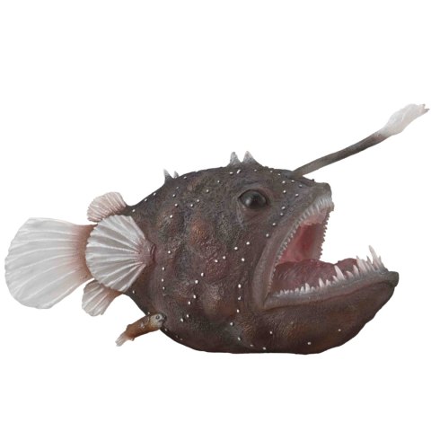 COLLECTA ŻABNICA COLLECTA ŻABNICA