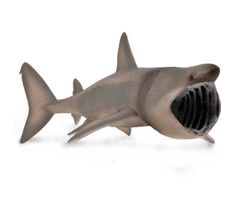 COLLECTA DŁUGOSZPAR COLLECTA DŁUGOSZPAR