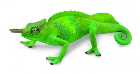 COLLECTA KAMELEON GÓRSKI COLLECTA KAMELEON GÓRSKI