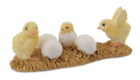 COLLECTA KURCZAKI WYLĘGARNIA COLLECTA KURCZAKI WYLĘGARNIA