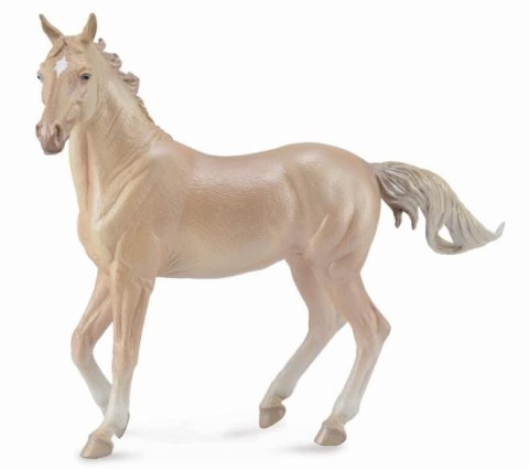 COLLECTA OGIER AKHAL-TEKE PERLINO COLLECTA OGIER AKHAL-TEKE PERLINO