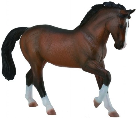 COLLECTA OGIER WARMBLOOD STALLION BAY COLLECTA OGIER WARMBLOOD STALLION BAY