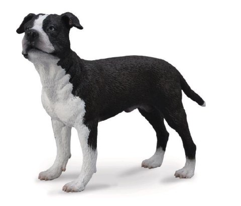 COLLECTA PIES AMERYKAŃSKI STAFFORDSHIRE TERRIER COLLECTA PIES AMERYKAŃSKI STAFFORDSHIRE TERRIER