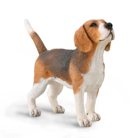 COLLECTA PIES BEAGLE COLLECTA PIES BEAGLE