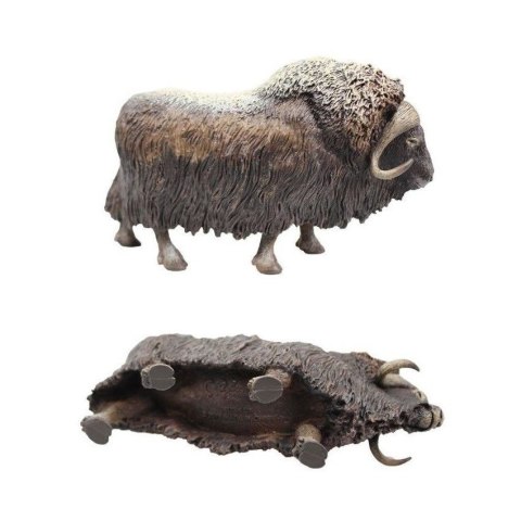 COLLECTA PIŻMOWÓŁ ARKTYCZNY COLLECTA PIŻMOWÓŁ ARKTYCZNY