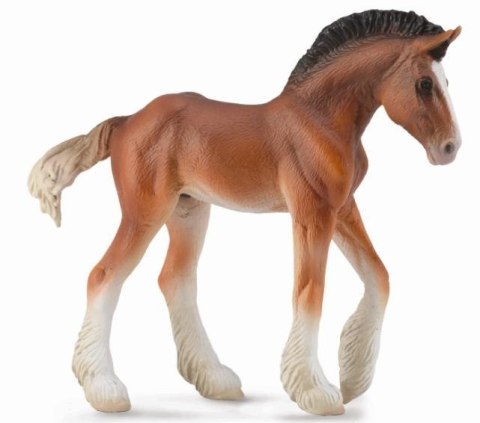COLLECTA ŹREBIĘ CLYDESDALE MAŚCI BAY COLLECTA ŹREBIĘ CLYDESDALE MAŚCI BAY