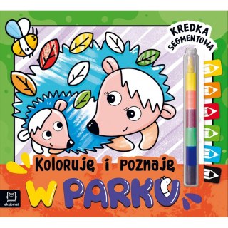 Koloruję i poznaję. W parku. Kredka segmentowa