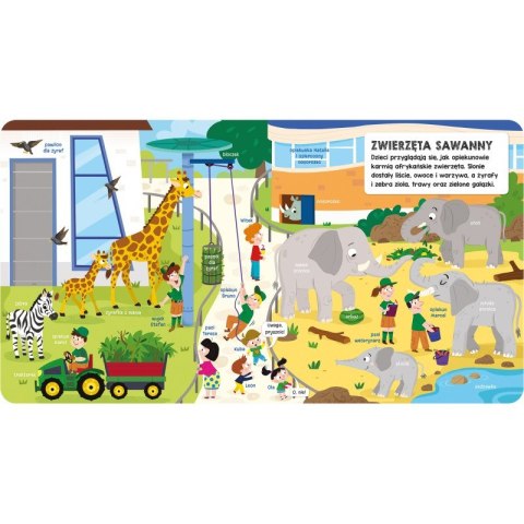 Książeczka z okienkami. Wesołe zoo Książeczka z okienkami. Wesołe zoo