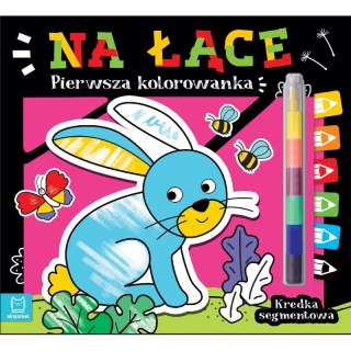 Pierwsza kolorowanka. Na łące. Kredka segmentowa