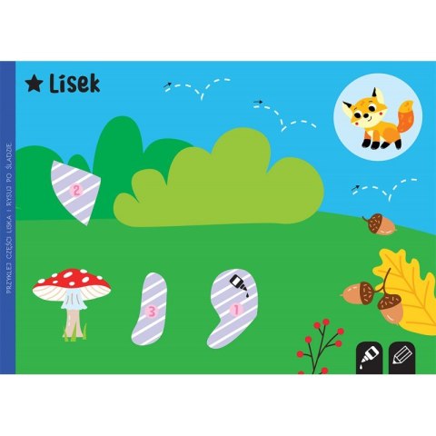 Wycinam, naklejam, rysuję. Na łące. Wycinanki edukacyjne Wycinam, naklejam, rysuję. Na łące. Wycinanki edukacyjne