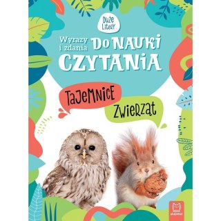 Wyrazy i zdania do nauki czytania. Tajemnice przyrody. Tajemnice zwierząt
