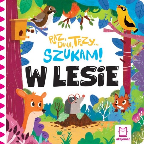Raz, dwa, trzy - szukam! W lesie. Zabawa w chowanego z misiem Raz, dwa, trzy - szukam! W lesie. Zabawa w chowanego z misiem