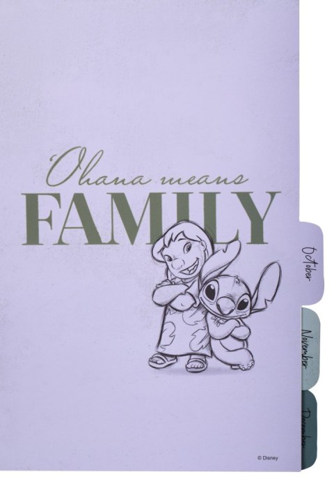 DISNEY 100 - PLANER A5 200 K BIG RING WZÓR 1