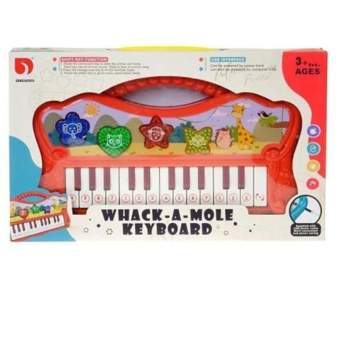 Organy DJ240 Organy DJ240