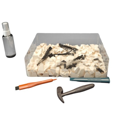 Archaeological excavation brachiosaurus suit Archaeological excavation brachiosaurus suit