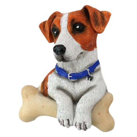 Magnes Jack Russell Na Lodówkę Ozdoba Piesek Kość Prezent Silny Magnes Magnes Jack Russell Na Lodówkę Ozdoba Piesek Kość Prezent Silny Magnes