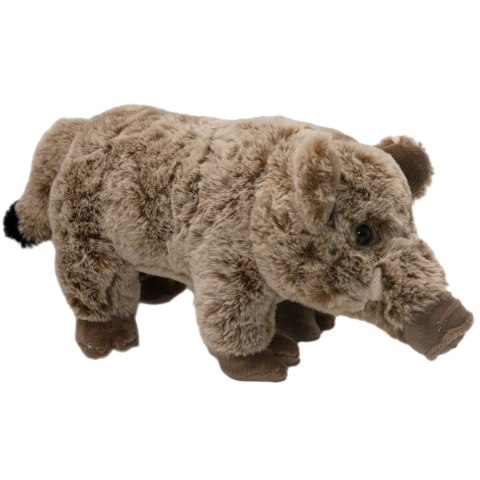 Pluszowy Dzik Maskotka Miękka Przytulanka 40cm Realistyczny Wygląd Miś Pluszowy Dzik Maskotka Miękka Przytulanka 40cm Realistyczny Wygląd Miś