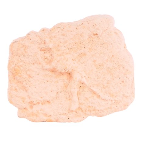 DINOZAUR WYKOPALISKA skamielina SZKIELET KOPALNIA