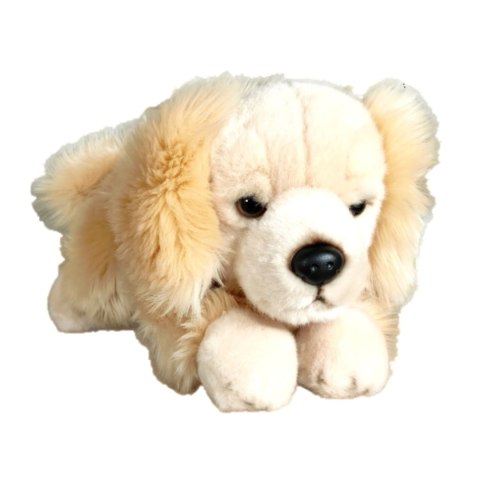 Maskotka Pies Retriver Leżący Duży Pluszak 30cm Miękka Przytulanka Miś Maskotka Pies Retriver Leżący Duży Pluszak 30cm Miękka Przytulanka Miś