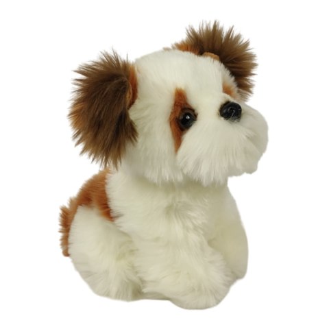 Maskotka Pies Shih Tzu Mały Pluszak 18cm Miękka Przytulanka Miś Piesek Maskotka Pies Shih Tzu Mały Pluszak 18cm Miękka Przytulanka Miś Piesek