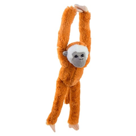 Maskotka Przytulanka Małpa Gibon Na Rzepy 48cm Miękki Materiał Długie Ręce Maskotka Przytulanka Małpa Gibon Na Rzepy 48cm Miękki Materiał Długie Ręce