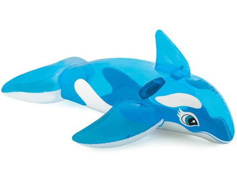 ORKA MAŁA DO PŁYWANIA ORKA MAŁA DO PŁYWANIA