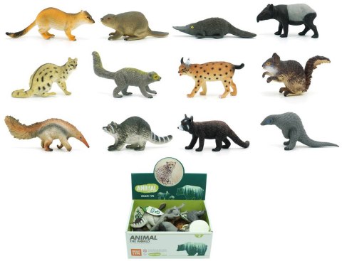 zwierzątka zoo