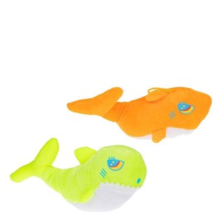 ORKA KOLOROWA