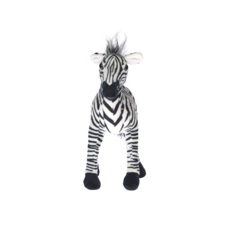 ZEBRA ZEBRA