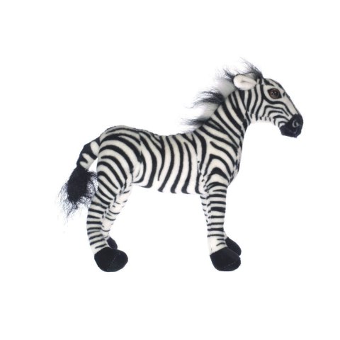 ZEBRA ZEBRA