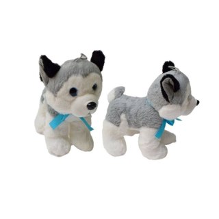 HUSKY ŚREDNI 1SZT.