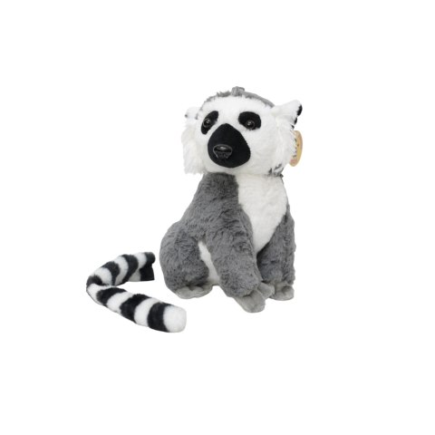 LEMUR MAŁY LEMUR MAŁY