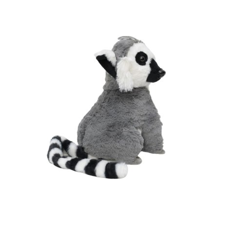 LEMUR MAŁY LEMUR MAŁY
