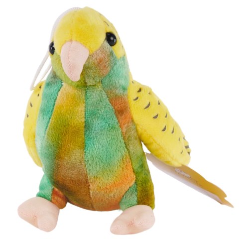 Pluszowa Papużka Falista Zielona Maskotka Przytulanka 15cm Miś Ptaszek Pluszowa Papużka Falista Zielona Maskotka Przytulanka 15cm Miś Ptaszek
