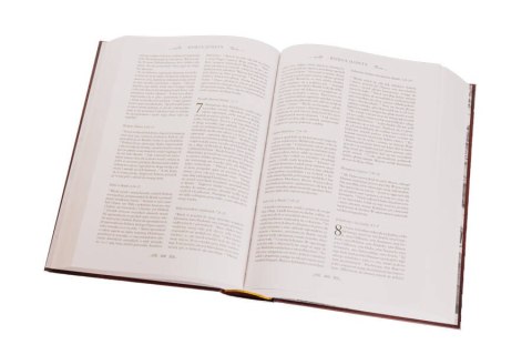 Pismo Święte Starego i Nowego Testamentu Biblia domowa W ETUI PIĘKNA DUŻA Pismo Święte Starego i Nowego Testamentu Biblia domowa W ETUI PIĘKNA DUŻA